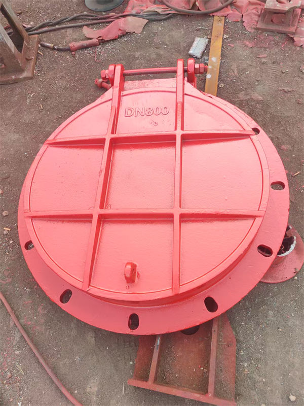 北林拍门球墨铸铁拍门价格透明