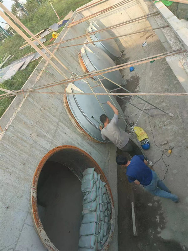 临漳拍门方拍门24小时下单发货