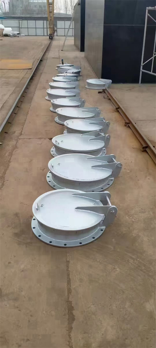 防倒灌拍门生产厂家敢与同行比价格