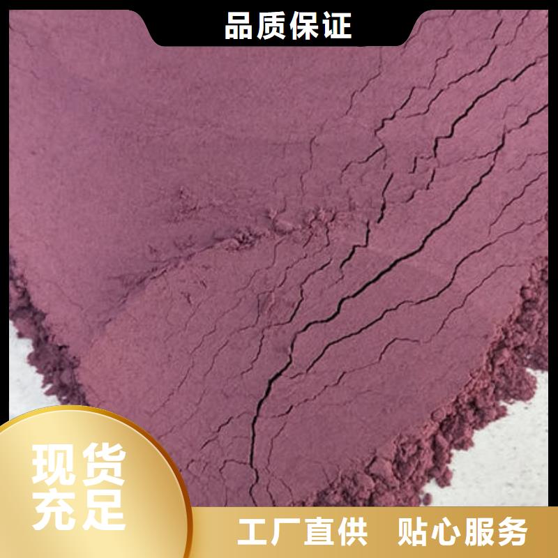 紫地瓜苗子批发销售厂家直营