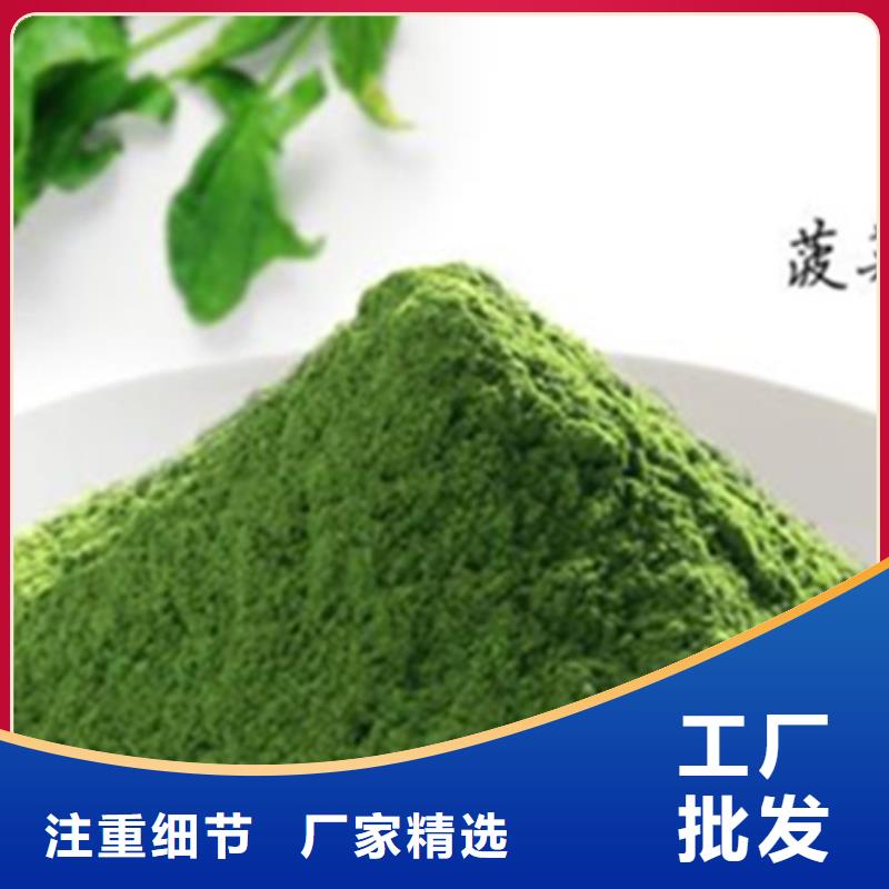 菠菜粉现货直供安心购