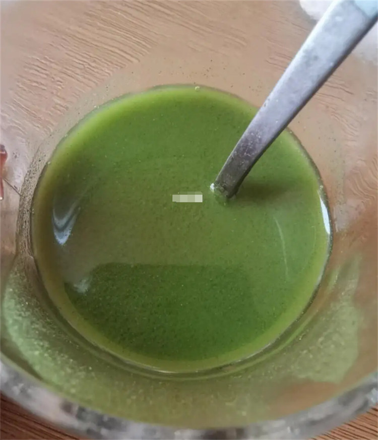 邢台南和专业销售羽衣甘蓝粉-靠谱