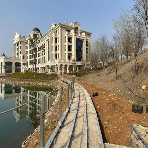 枣庄桥梁防撞护栏图片-为您服务