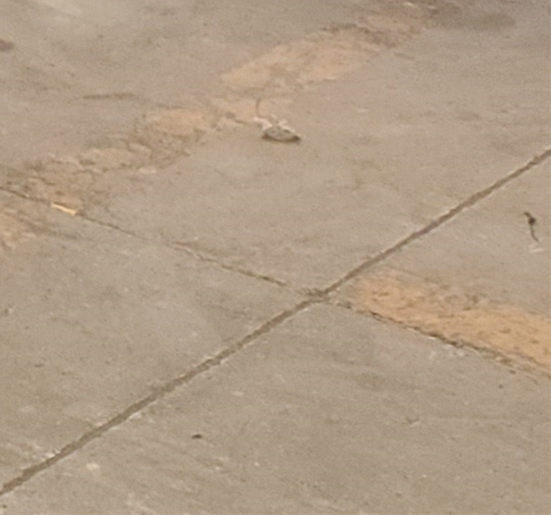 护栏_201不锈钢复合管拒绝差价本地区供应商