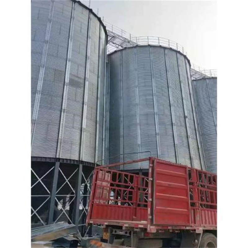 张家口康保供应批发装配式粮食存储仓-大型厂家
