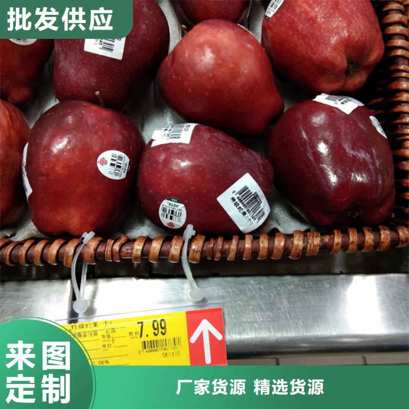 苹果板栗苗实体厂家大量现货厂家直销售后完善