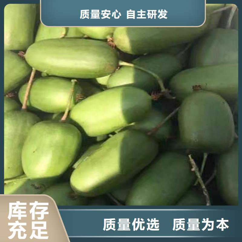 岳阳【猕猴桃】梨树苗值得买