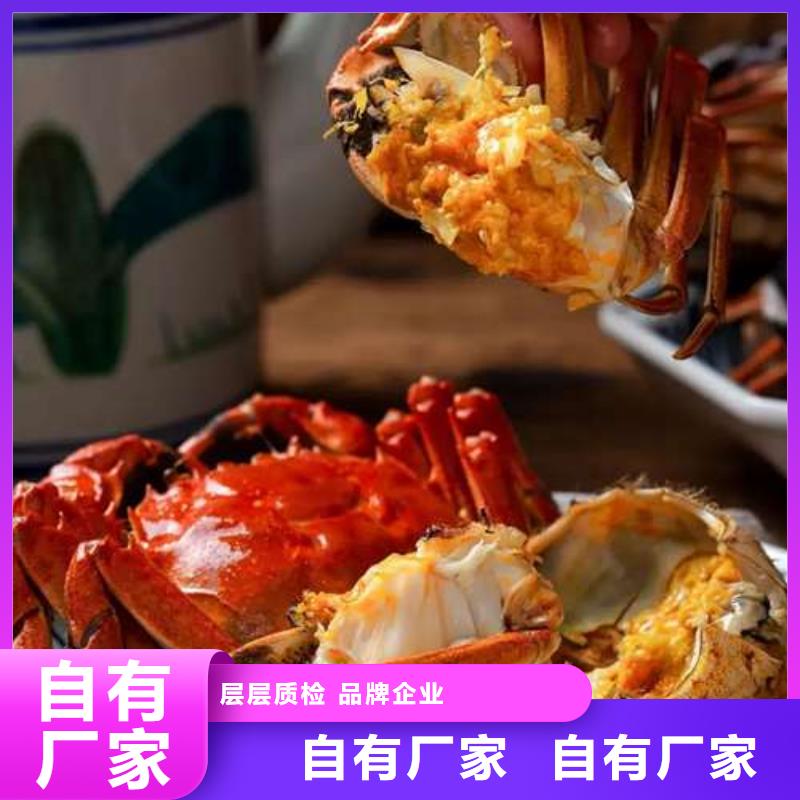 容城蟹阳澄湖大闸蟹哪个品牌正宗质优价廉