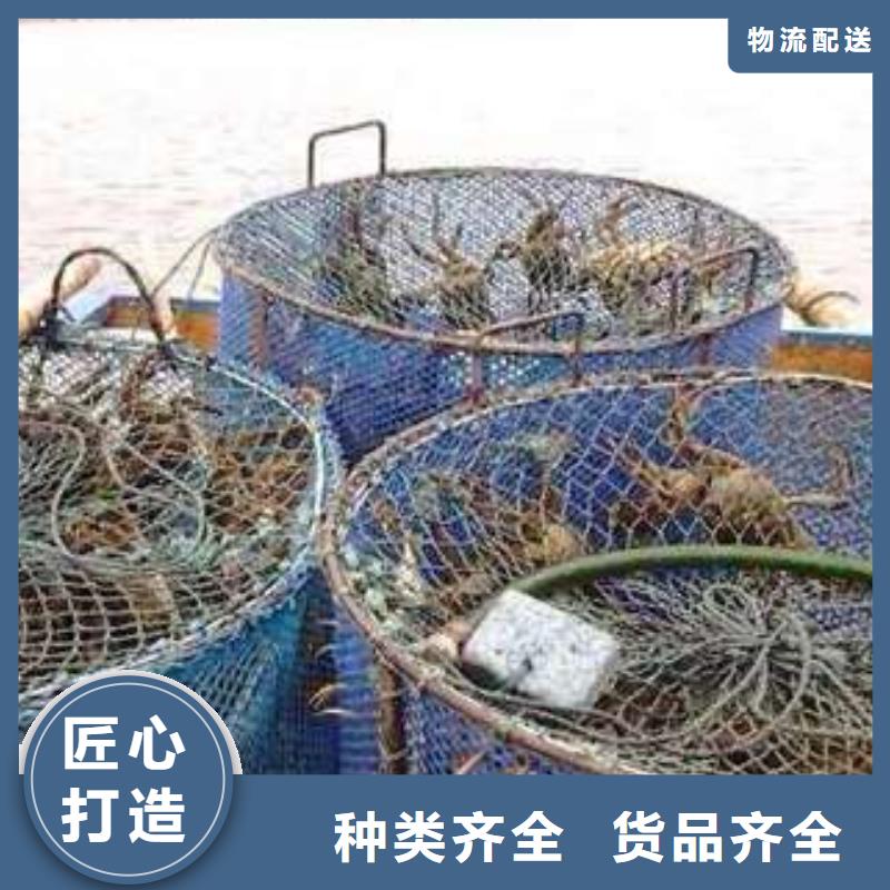 阳澄湖大闸蟹企业-实力雄厚产地直销