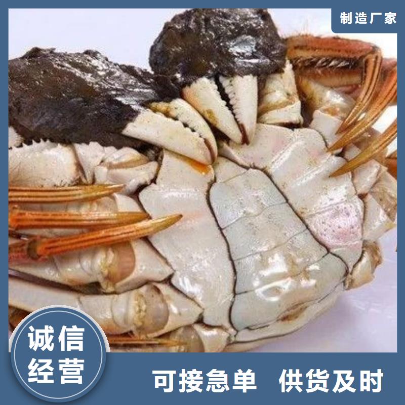 康县蟹阳澄湖大闸蟹网购大品牌值得信赖