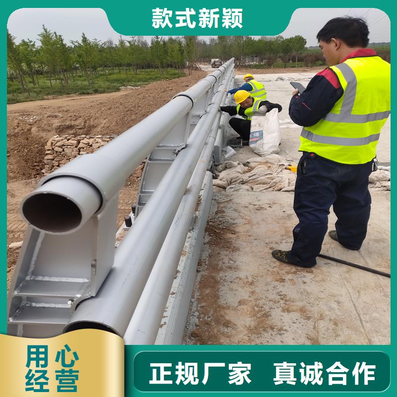 浙江金华河道护栏按需定制