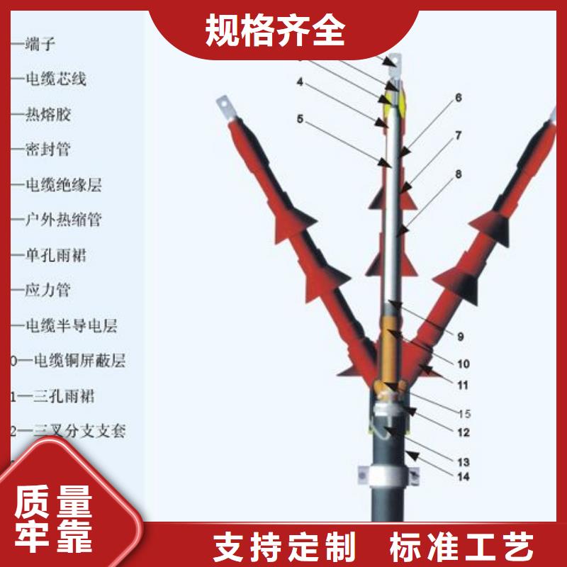 【】冷缩式电缆终端头10KVLSN-1/2供应商