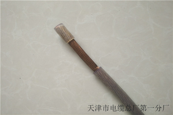 耐高温电缆报价	优质厂家质量无忧