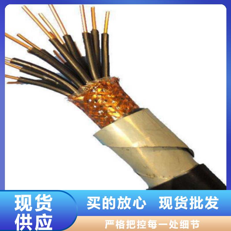 控制电缆 屏蔽电缆源头厂源头货本地范围生产厂家