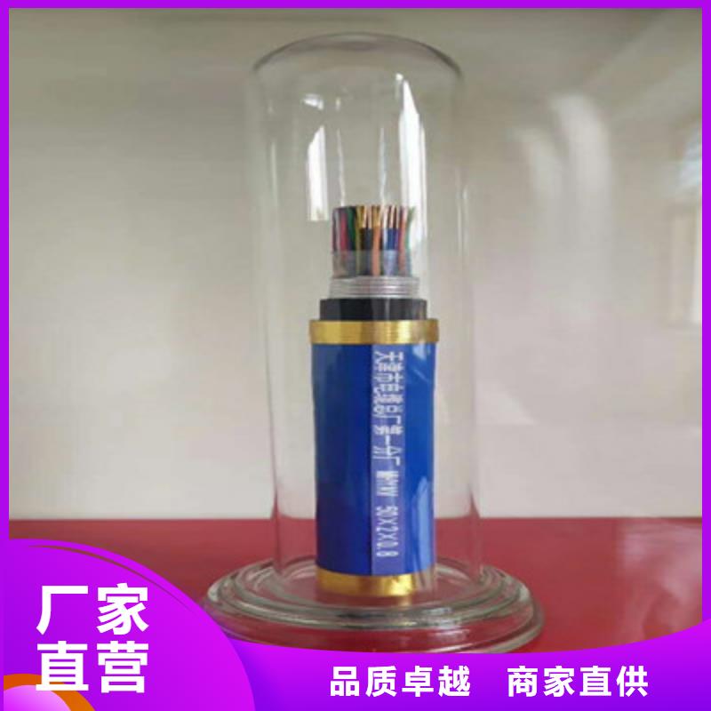 矿用通信电缆煤矿用阻燃信号电缆一站式供应本市公司