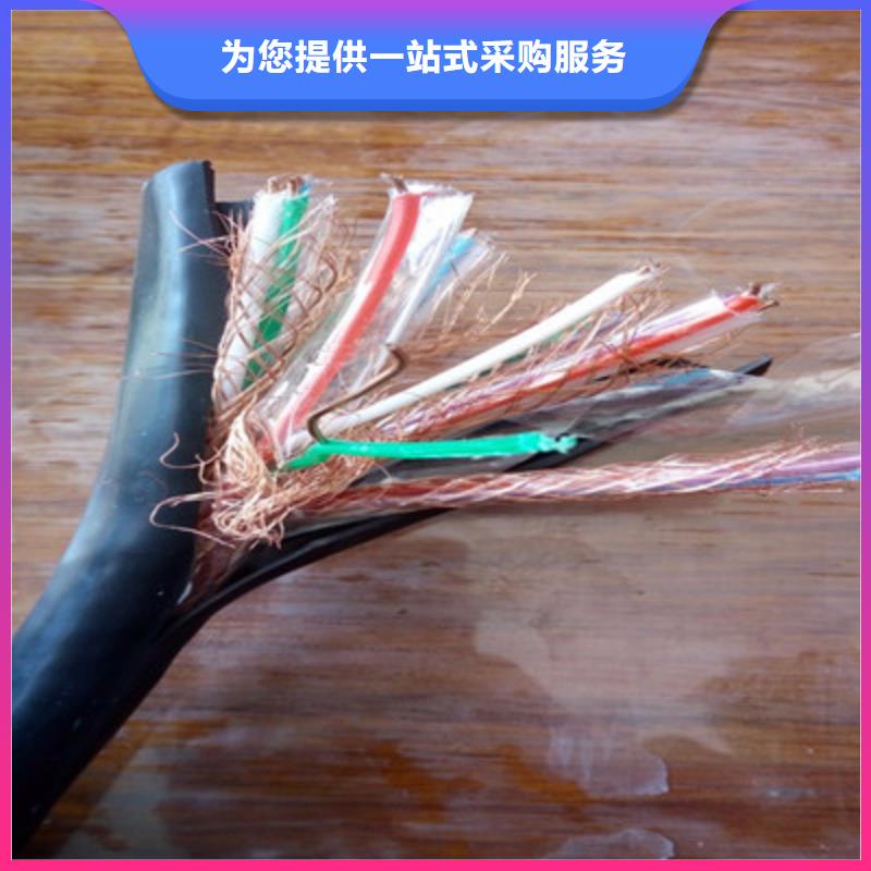 计算机耐高温电缆DJFP2VP216X2X2.5好品质用的放心