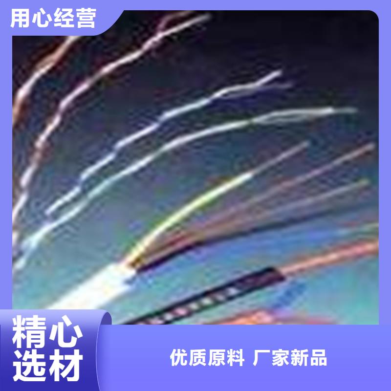铁路信号电缆屏蔽电缆品牌专营购买的是放心