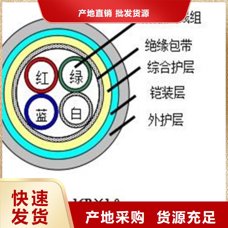 WDZ-P2Y2VH22铁路信号电缆价格实惠您身边的厂家