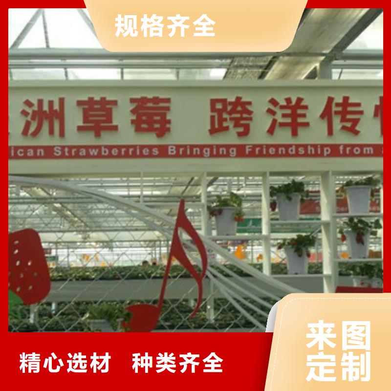 草莓苗 无花果树苗保障本地范围品牌