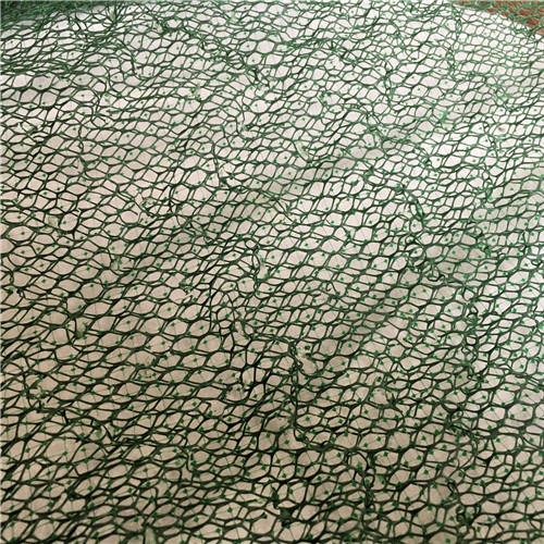 三维植被网 【植草格】高品质现货销售