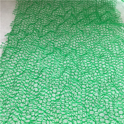 永平三维植被网三维土工网实力厂商