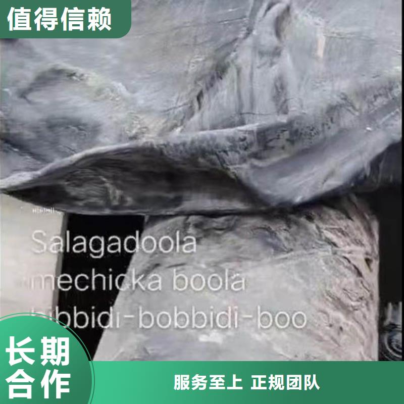 水下施工【水下摄像服务】免费咨询快速响应