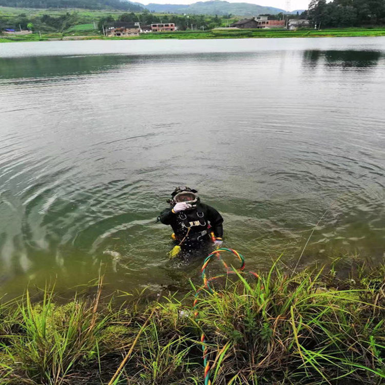 新余潜水员水下摄像 -潜水员水下摄像 实力强