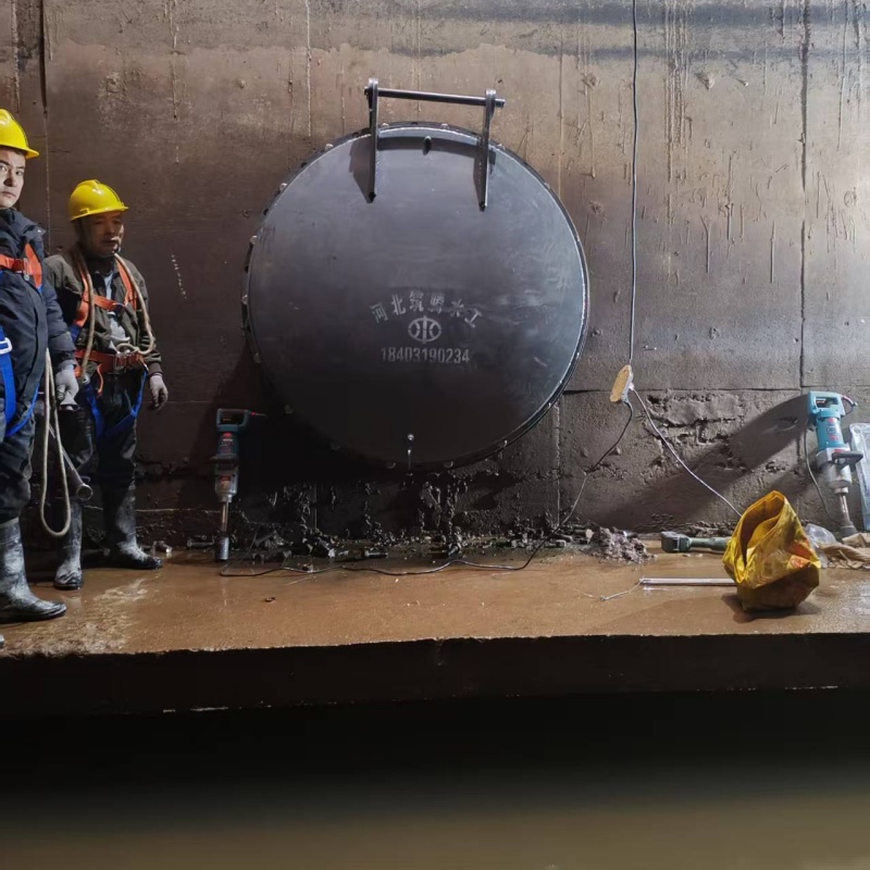 林芝玻璃钢拍门源头厂家电话