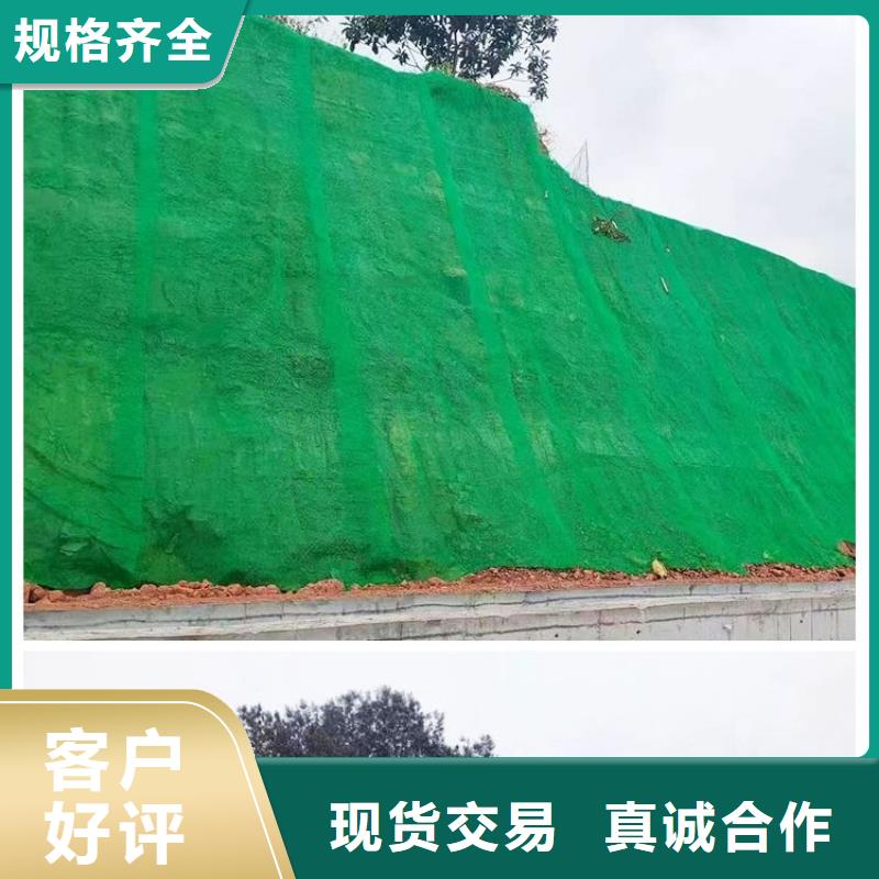 吉林三维植被网 硬式透水管品质服务诚信为本