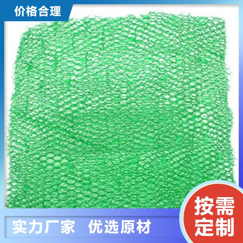 三维植被网土工膜匠心制造本市制造商