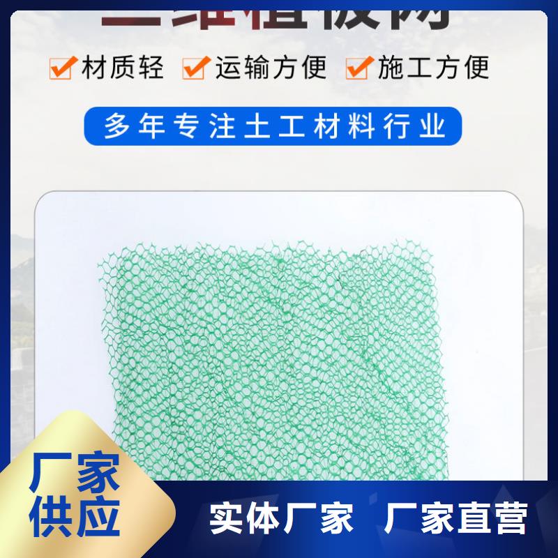 马鞍山【三维植被网】聚乙烯醇纤维大品牌值得信赖