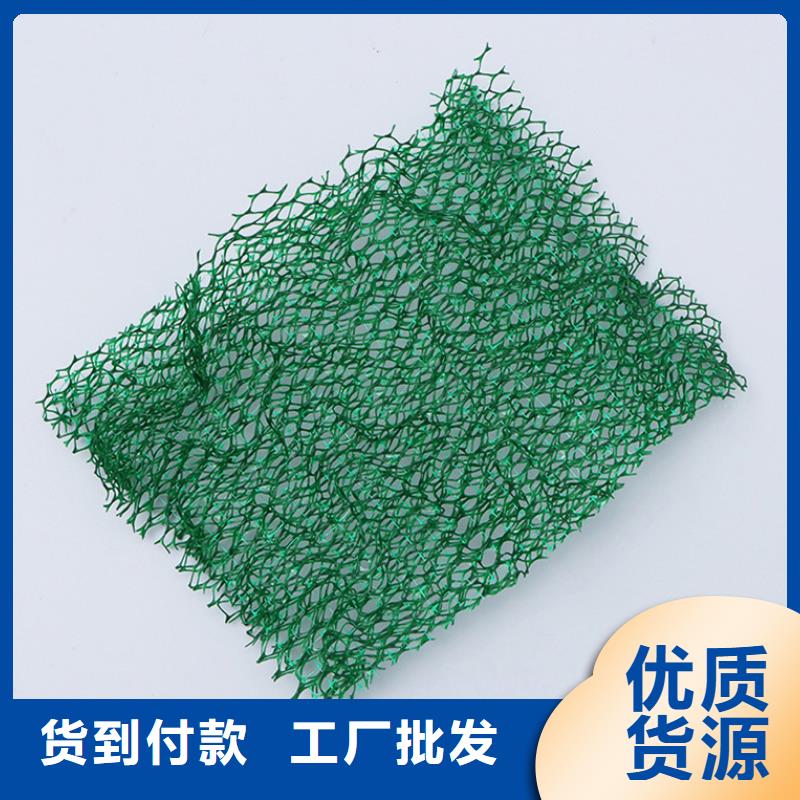 黑龙江三维植被网渗水盲管工厂直供