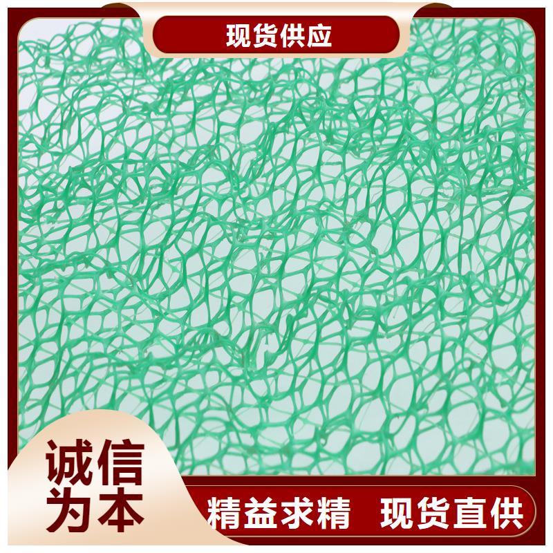 为您提供三维土工网植草厂家一手价格