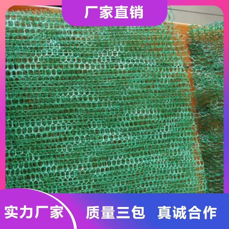 汕头三维植被网止水铜片快捷物流