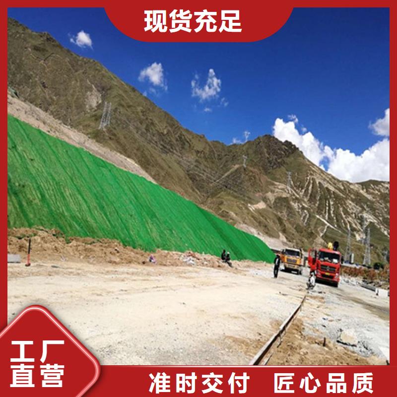 三维植被网铜片止水厂家产品细节本市生产商