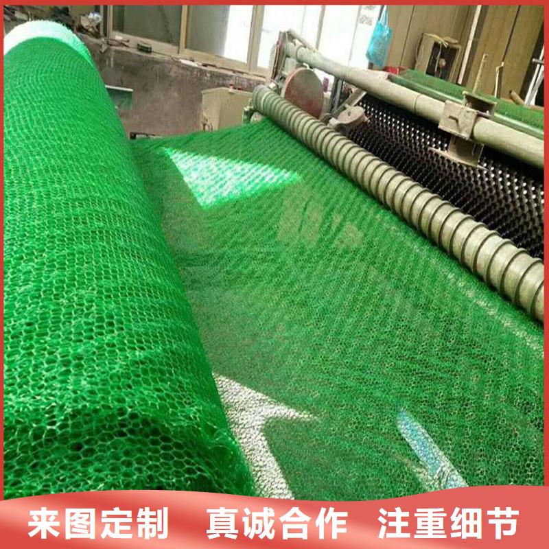 三维植被网【止水铜片厂家】源厂定制本土生产厂家