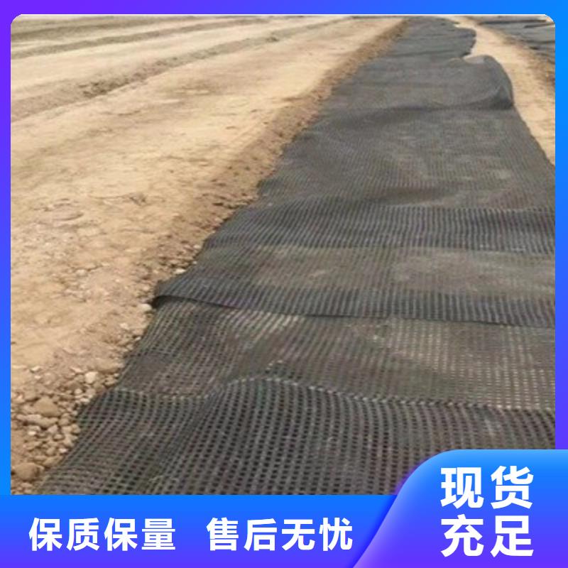 钢塑格栅规格及尺寸规格库存充足_2025本地报价本地区货源