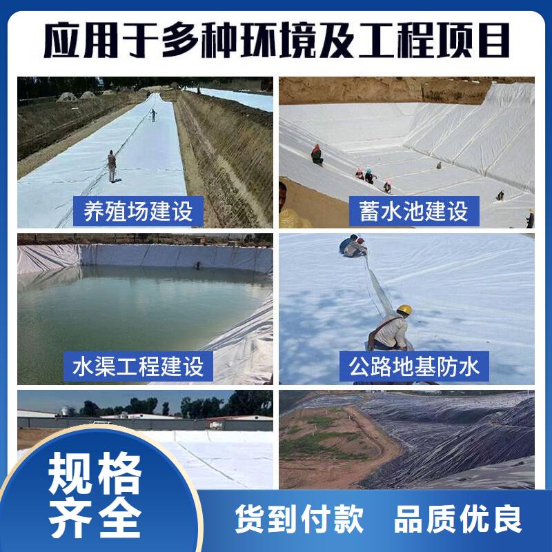 青岛土工布-土工格栅订购