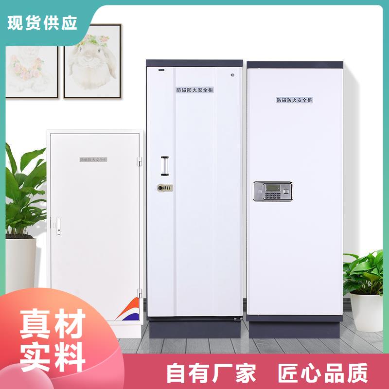 阜新防磁柜 档案密集架安心购