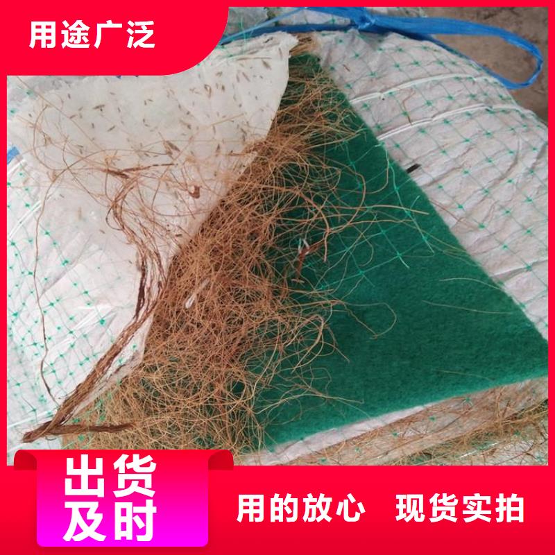 加筋抗冲生物毯-稻草毯-生态草毯品质优选