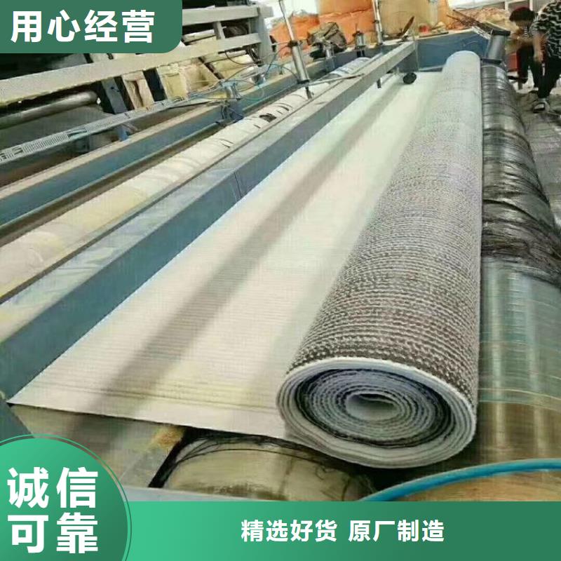膨润土防水毯 三维植被网自产自销辖区内生产商