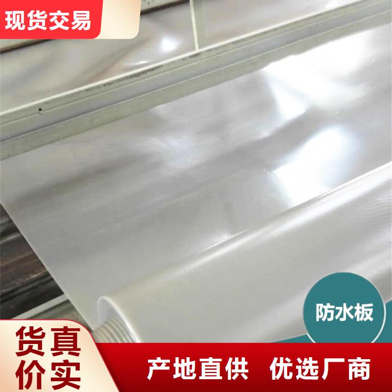 防水板,塑料土工格栅采购48小时发货