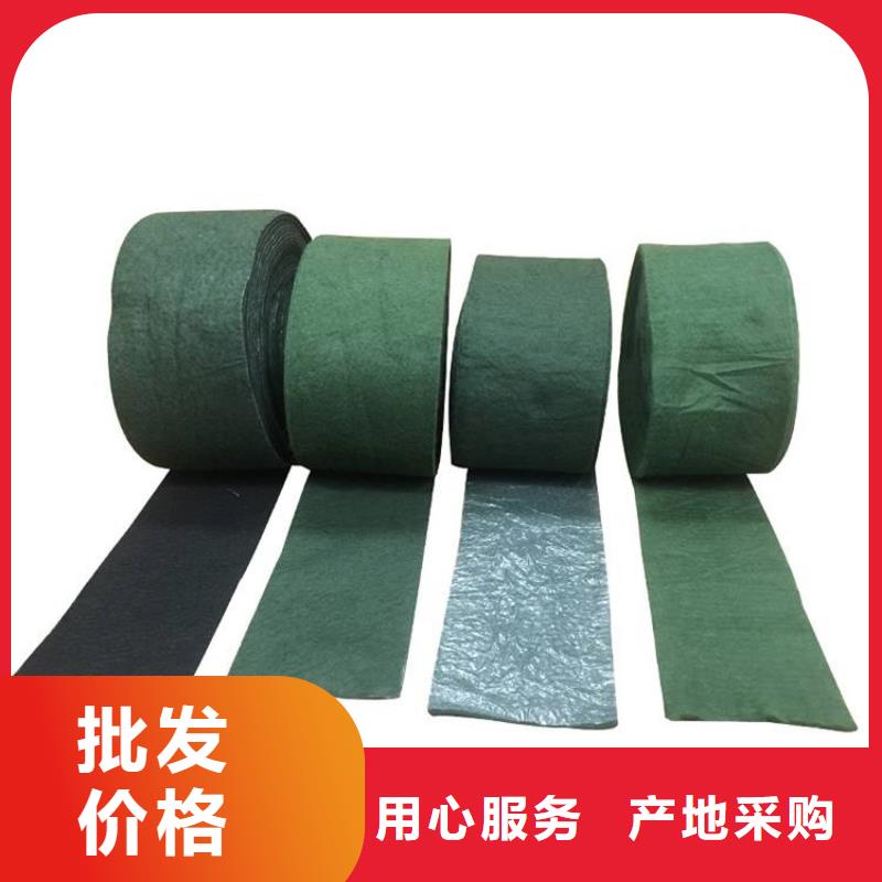 裹树布钢塑格栅制造厂家厂家销售