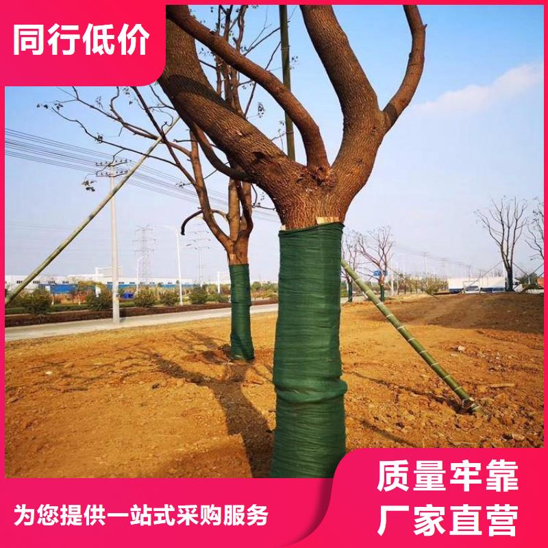 【裹树布 防渗膜好产品有口碑】本地区生产商