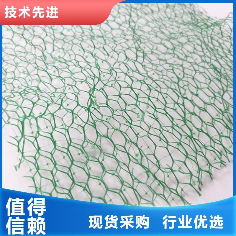 张家界三维植被网HDPE土工膜优选货源