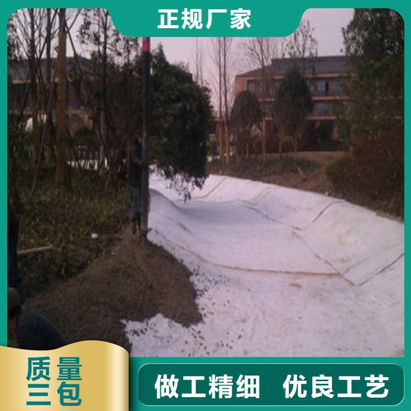 四川 膨润土防水毯精选厂家好货