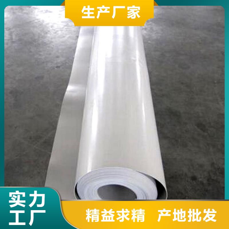 【永州防水板双向塑料土工格栅专注细节专注品质】