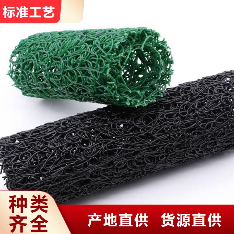 黟县塑料盲沟防水毯厂家销售