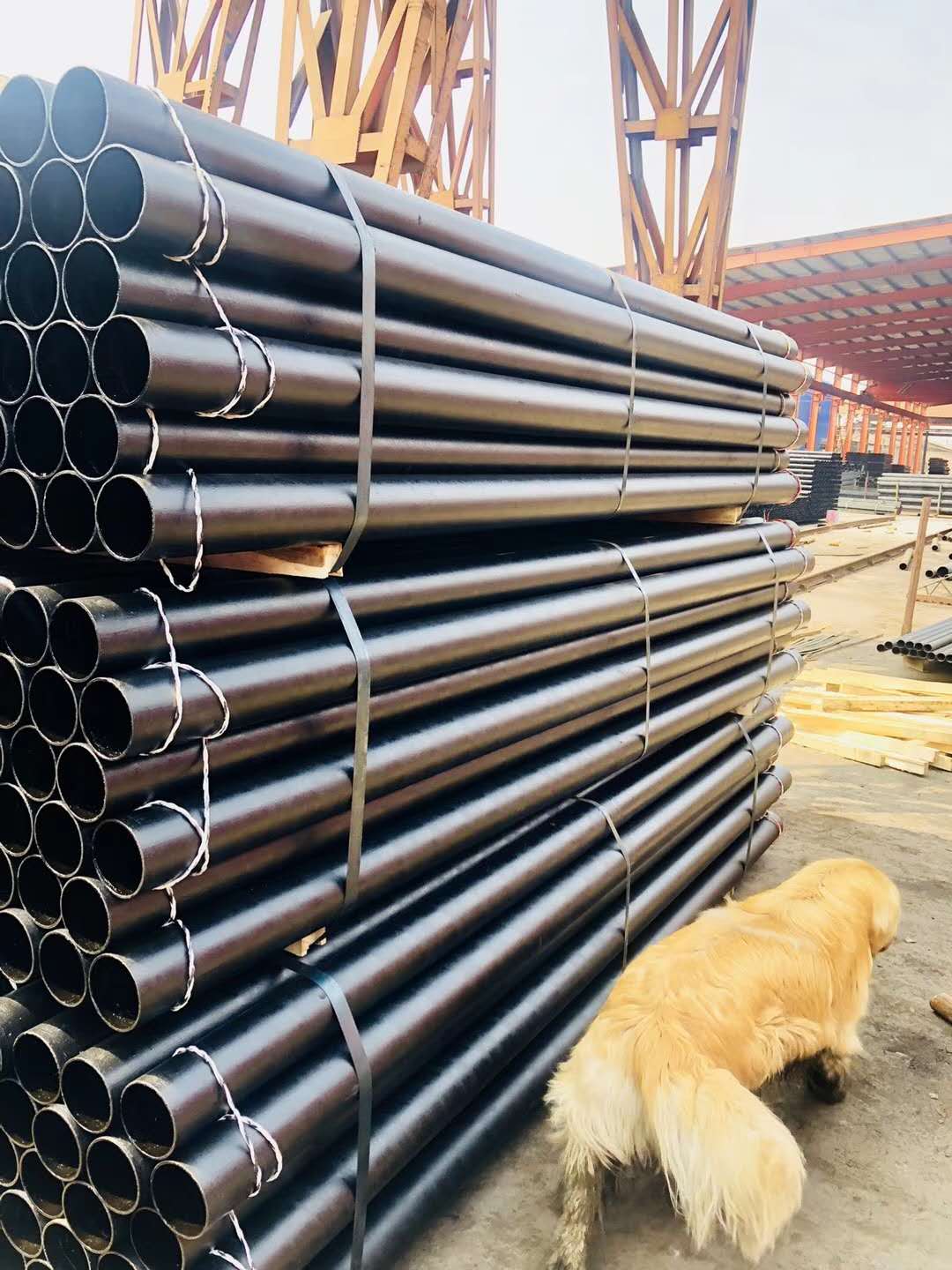 贵州A型铸铁H管哪家好 