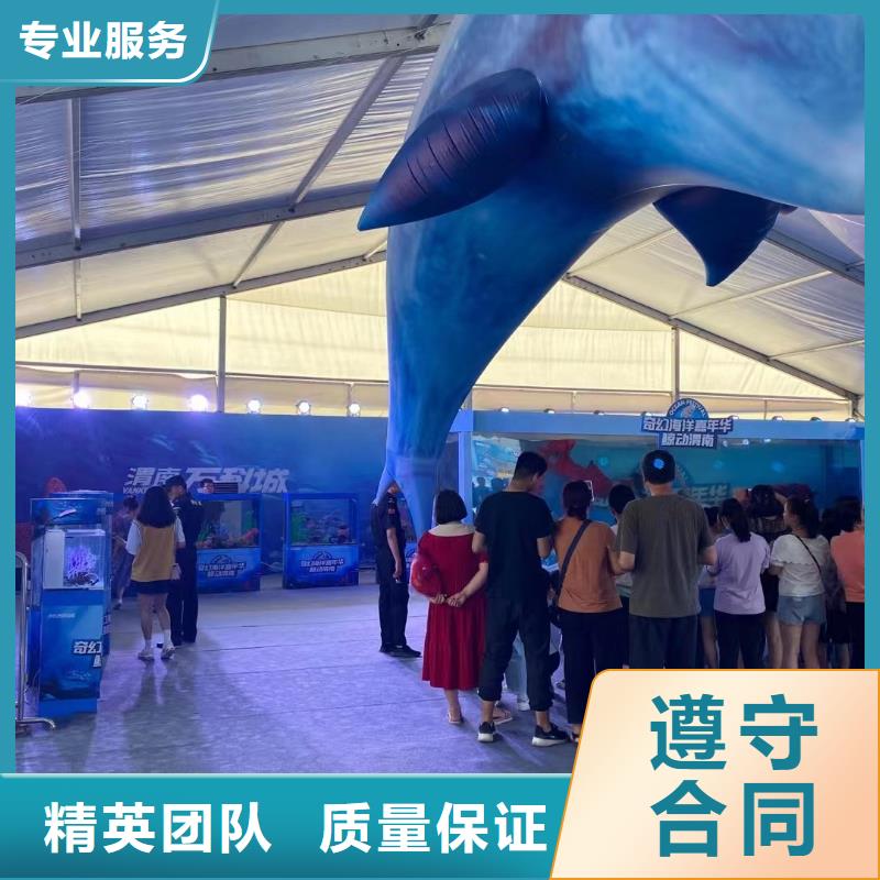 宝鸡眉县支持定制的企鹅展览生产厂家